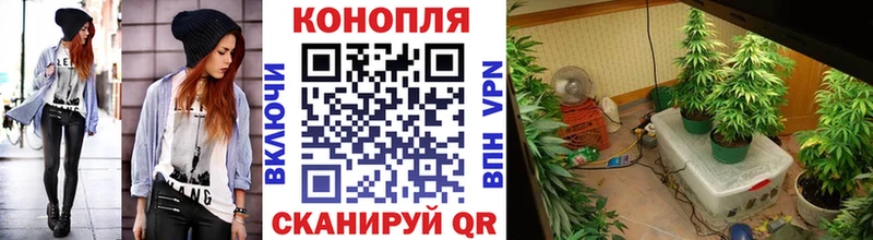 Марихуана индика  Купить закладки  Солнечногорск 